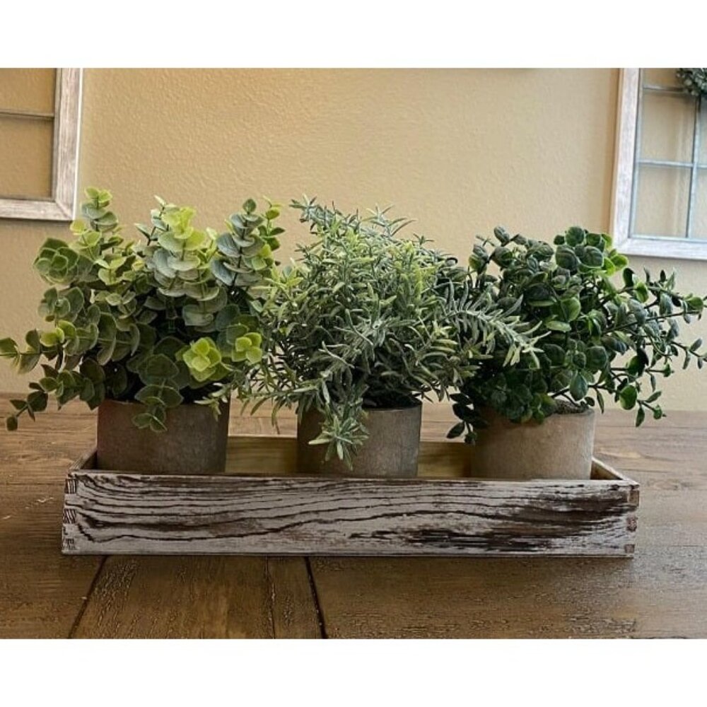 New Set of 3 Mini Potted Artificial Eucalyptus Plants Faux Rosemary Plant